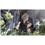 Blu-Ray - Final Fantasy VII: Advent Children 