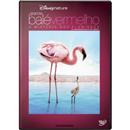 DVD - Grande Balé Vermelho: O Mistério dos Flam...