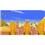 Jogo New Super Mario Bros - Wii
