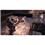Jogo Gears of War 2 Standard - Xbox 360