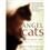 Livro - Angel Cats: Anjos de Muitas Vidas