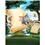 DVD - As Loucas Aventuras de Tom & Jerry - Volume 1