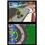 Jogo Mario Kart - NDS