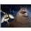 Blu-Ray 3D - O Bicho Vai Pegar