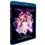 Blu-Ray - Girls Aloud: Tangled Up - Live from the O2 2008 - Importado