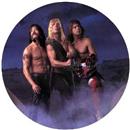 LP - Spinal Tap: Break Like the Wind - Importado