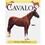 Livro - Guia Pratico - Cavalos