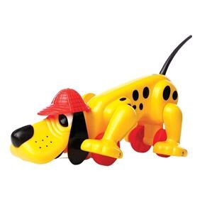 Cãozinho Xereta da Estrela 