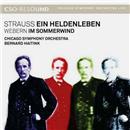 SACD - Strauss: Ein Heldenleben Webern Im Somme...