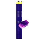 Lápis Preto Bic HB nº 2 Evolution Colors 110678...