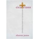 Livro - Cicatrizes