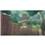 Jogo The Legend of Zelda: Skyward Sword - Wii
