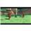 Jogo The Legend of Zelda: Skyward Sword - Wii