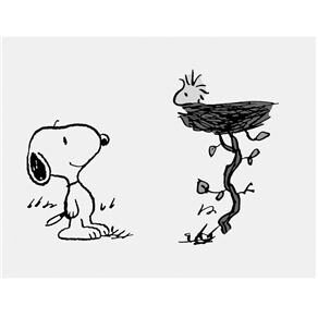 DVD - Felicidade é... Charlie Brown: Aventuras de Snoopy