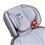 Cadeira para Automóvel Burigotto Protege Reclinável 3041 - 15 a 36 Kg - Ice