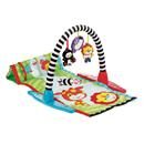 Ginásio Fisher-Price Bichinhos com Música L7347