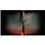 Blu-Ray 3D - A Hora do Espanto - Fright Night