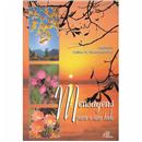 Livro - Mensagens Para o Ano Todo - Celina H. W...