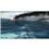 Game Silent Hunter 5: Battle of the Atlantic - Collector Edition para Download - PC