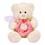 Pelúcia Homeplay Urso Dengo 3581
