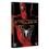 DVD - Box Homem-Aranha: A Trilogia - Spider-Man: Trilogy - 3 Discos