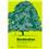 Livro - Deodendron: Árbores y Arbustos de Jardín en Clima Templado - Rafael Chanes