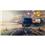 Jogo DiRT Showdown - PC