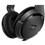 Fone de Ouvido Sennheiser HD 419 - Preto