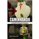 Livro - Caminhando: no Caminho de Santiago de C...