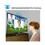TV 51" Smart Interaction 3D Plasma Samsung Série 8 E8000 PL51E8000GGXZD Full HD com Smart TV, Conversor Digital, Wireless LAN e 4 Óculos 3D