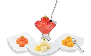 Variedade de sabores em suas sobremesas sorveteria britania gelatto sorbet sorvete natural