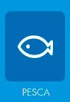 Pesca