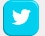 Twitter Twitter