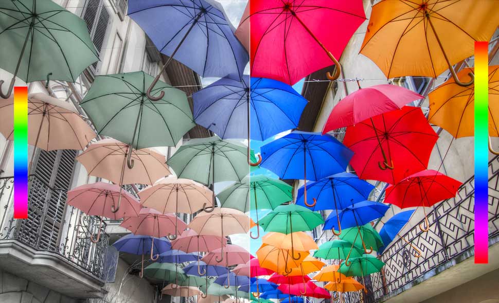 O brilho da vida, revelado com mais cores