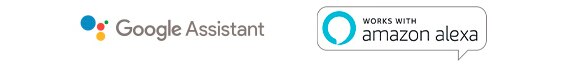 Google Assistent