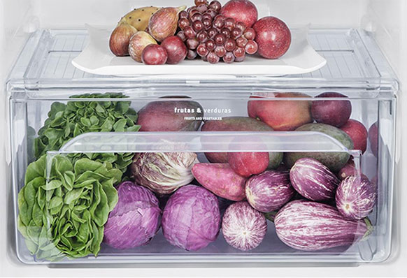 gaveta do Refrigerador Electrolux Frost Free TF51