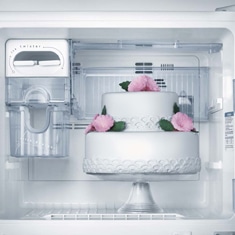 refrigerador Electrolux Celebrate DFX49 freezer