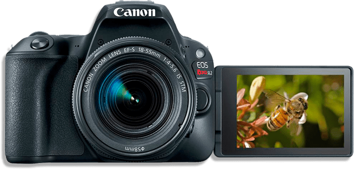 Câmera DSLR Canon EOS Rebel SL2 Tela LCD