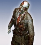Guarda Zumbi