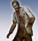 Zumbi pesquisador