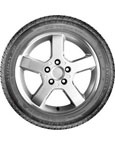 Ranhuras do pneu General Tire Altimax UHP 195 55 R15